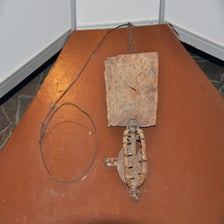 CheetahConservationFundOtjiwarongo7.jpg