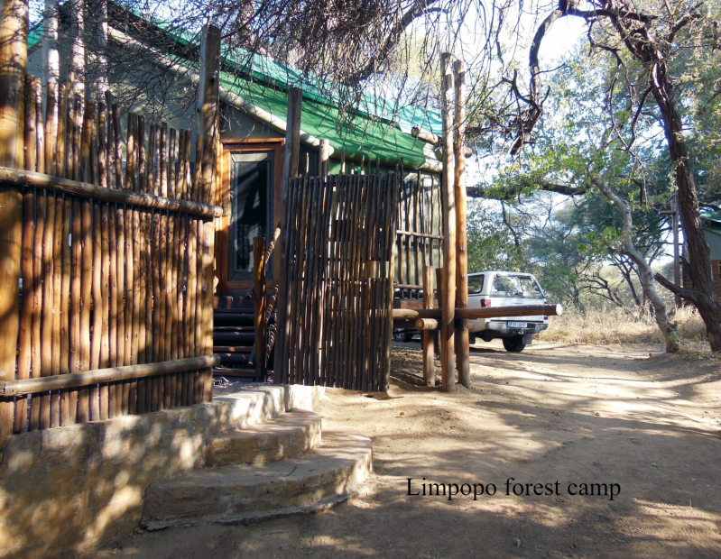  Limpopo forest camp