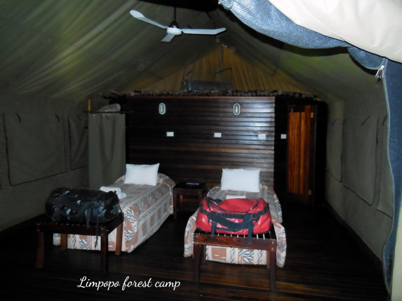  Limpopo forest camp
