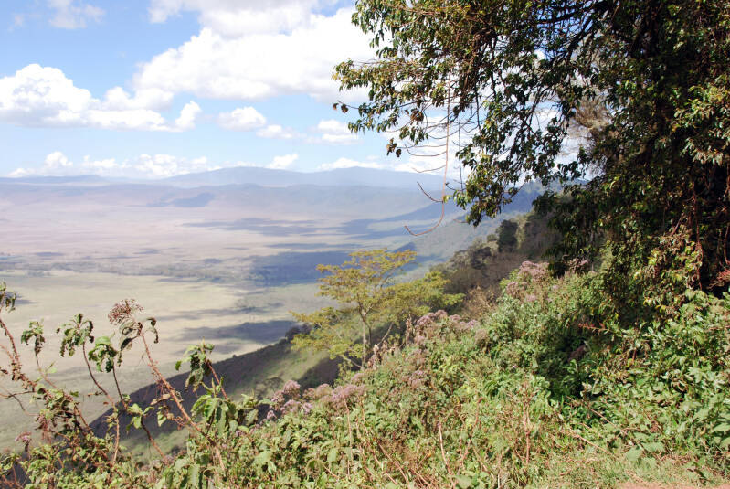 ngorongoro crater