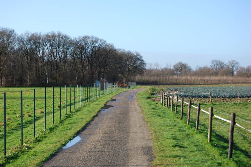 Karrebosser Veldweg