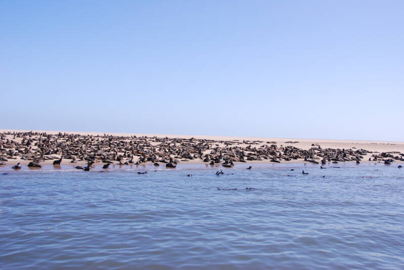 Walvis Bay