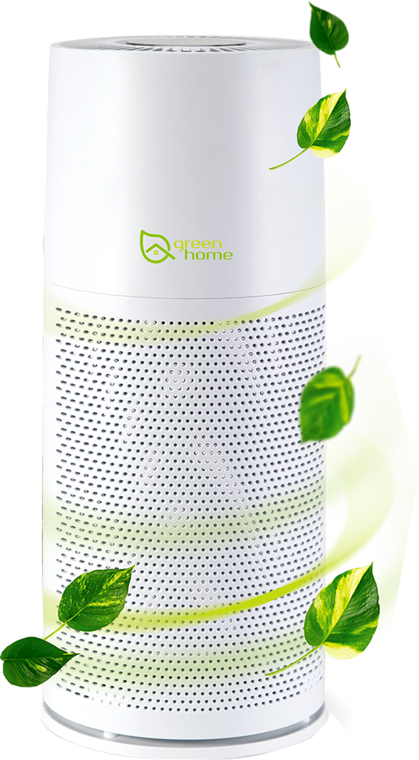 oczyszczacz Green Home