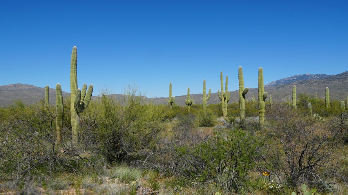 (c) Companeros-longvalley.ch