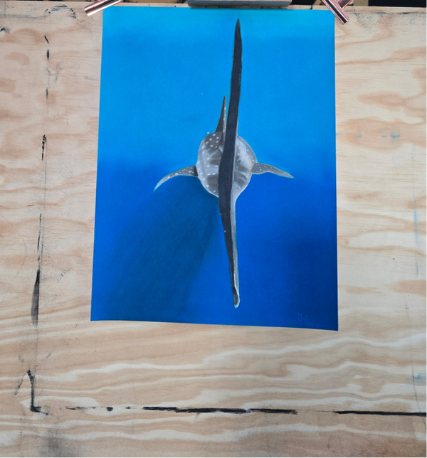 Walhai 30x40 cm