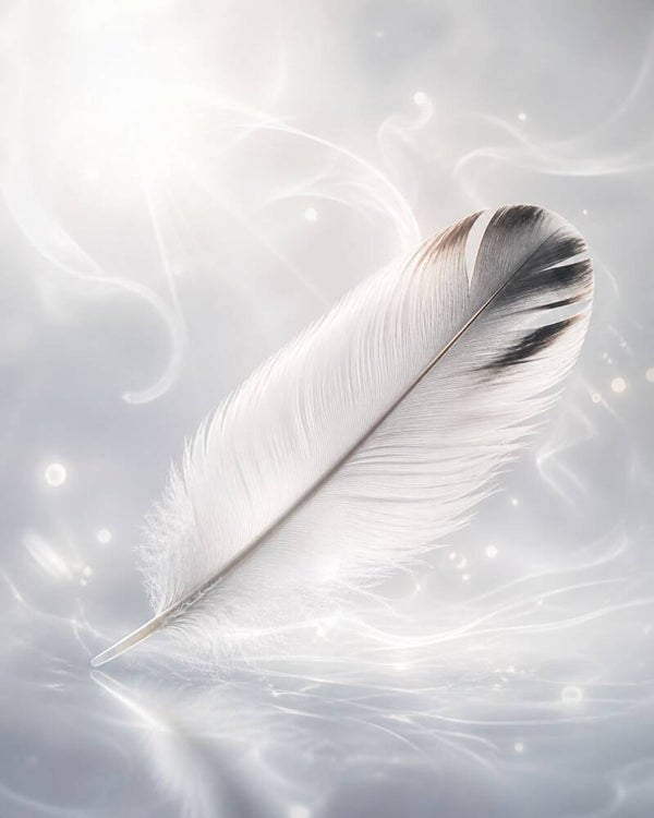 Pluma de intenciones