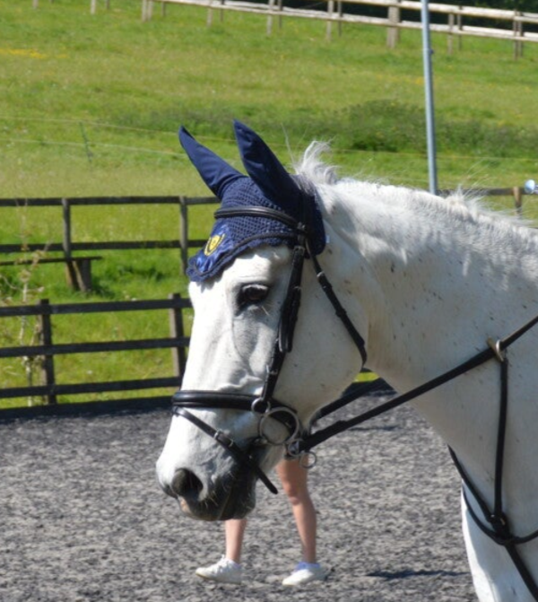 Navy All Performance Ear Bonnet