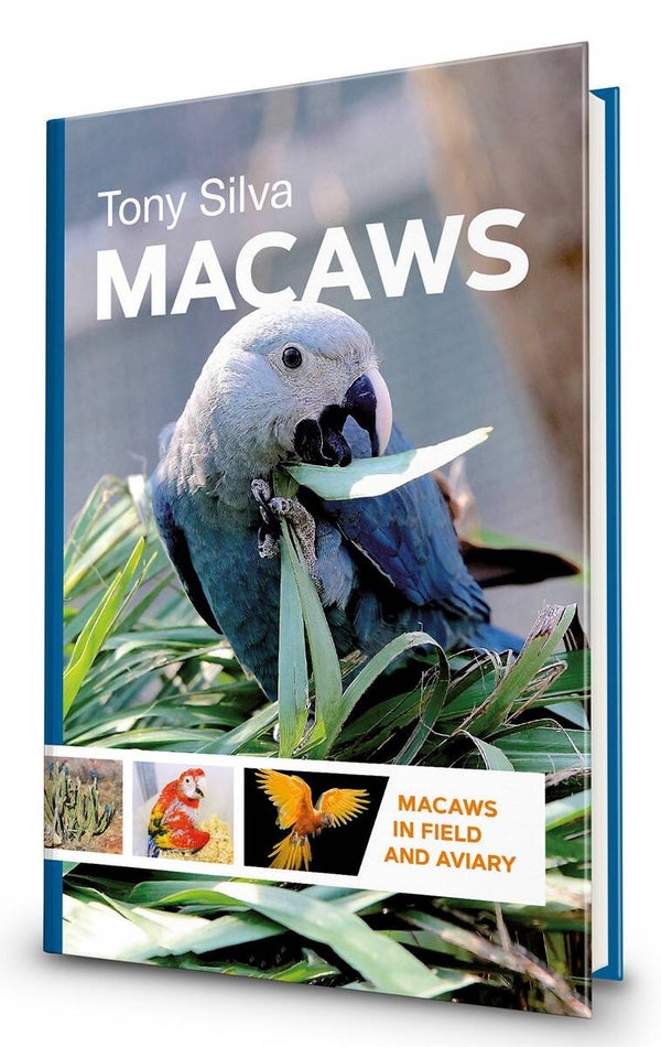 Macaws