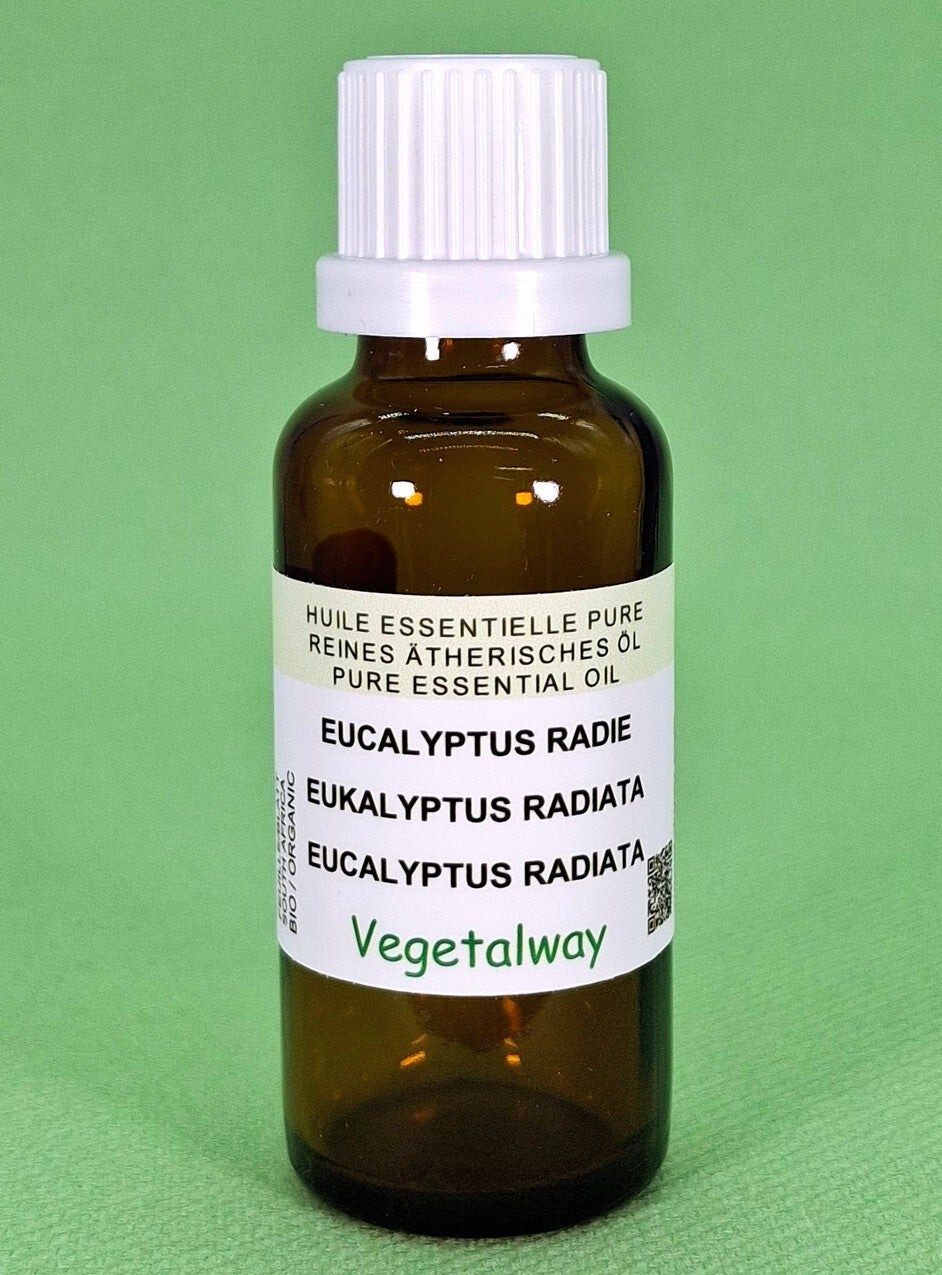 Eucalyptus radié 30/50/100ml