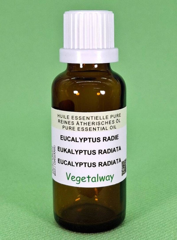 Eucalyptus radié 30/50/100ml
