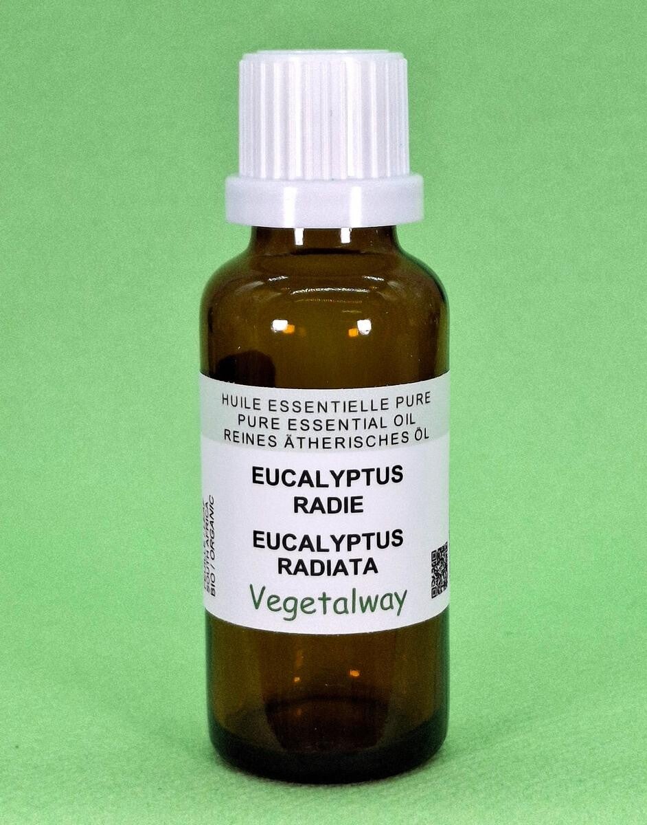 Eucalyptus radié 50/100ml