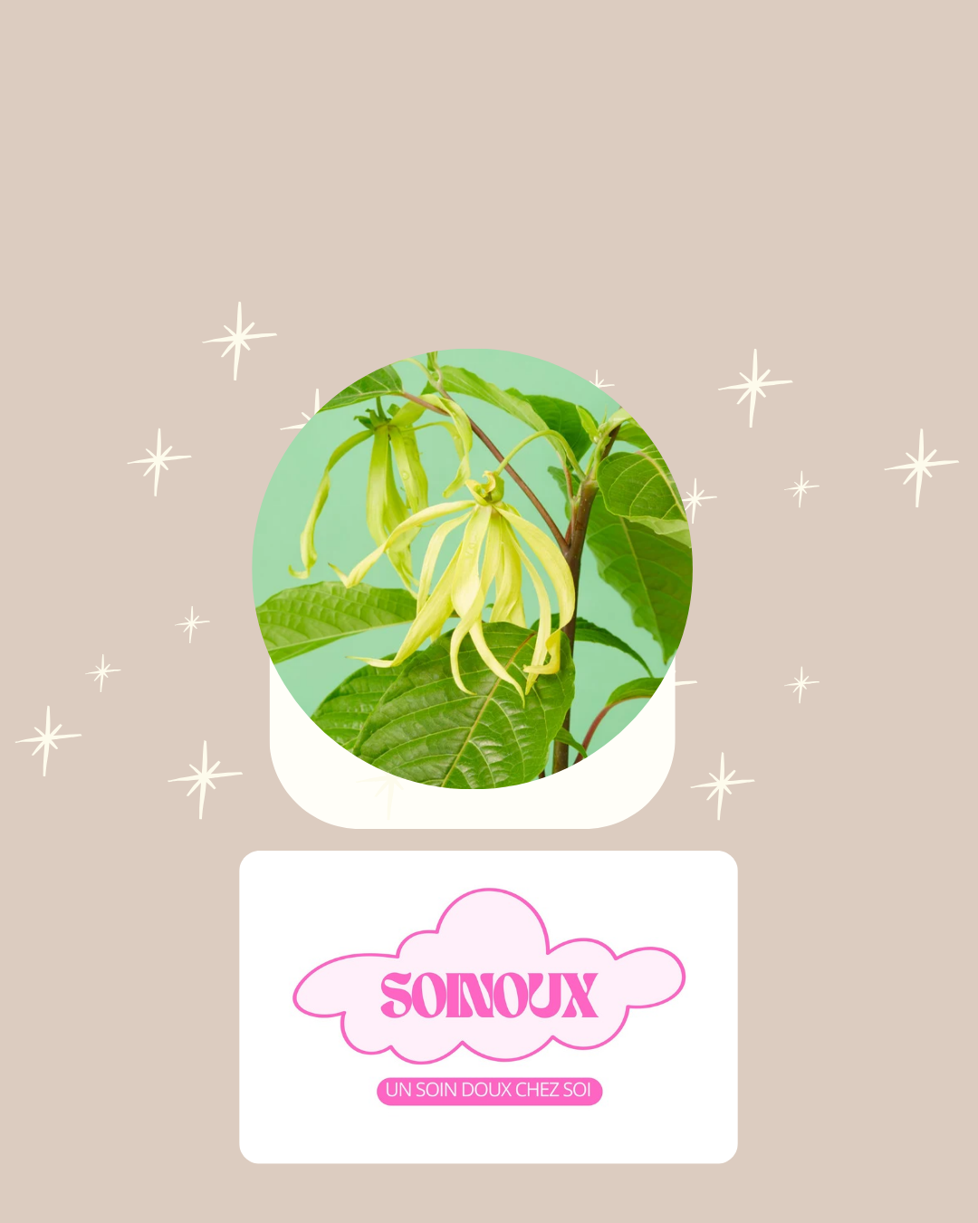 Ylang-ylang