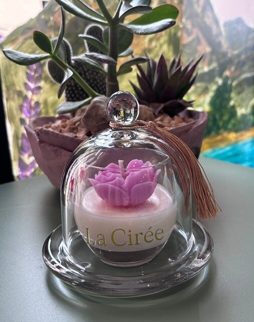 Bougie sous cloche