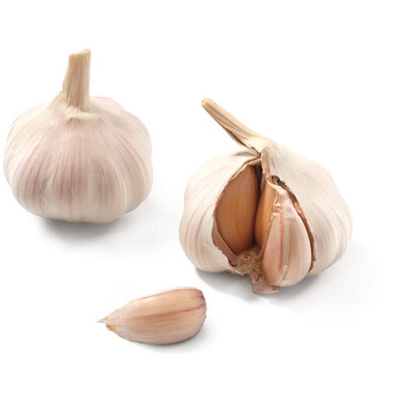 Knoflook 2 stuks