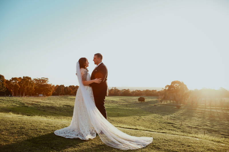 ddwed-315-standard.jpg