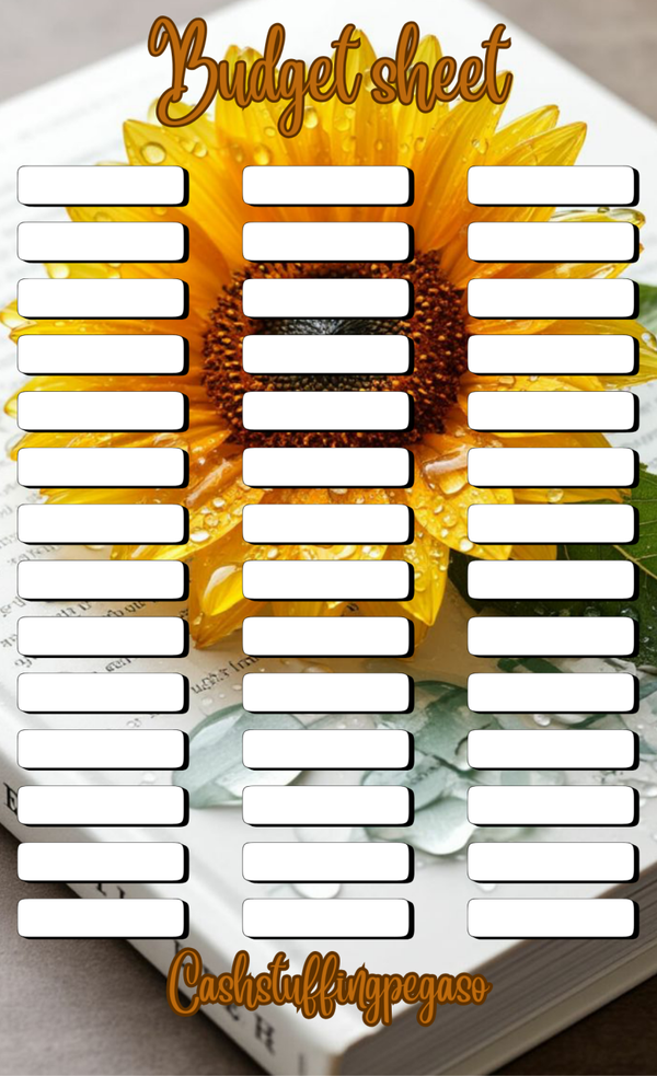 budgetsheet girasole
