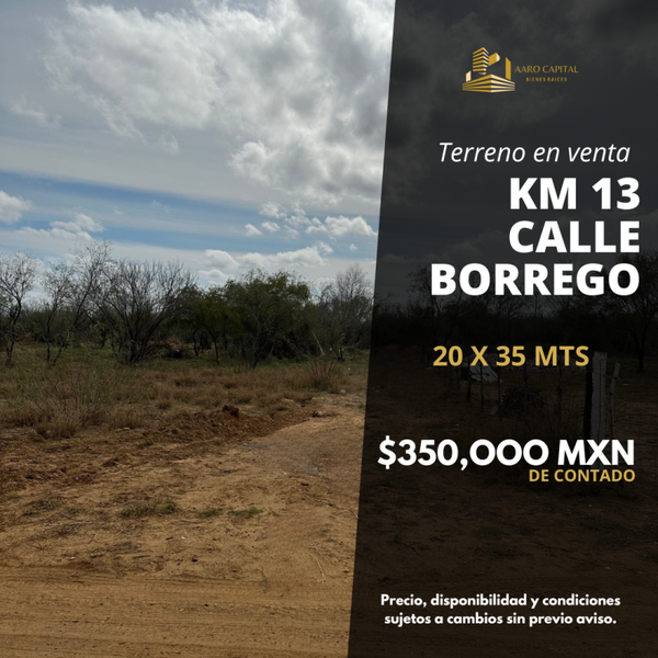 1099 KM13 Borrego