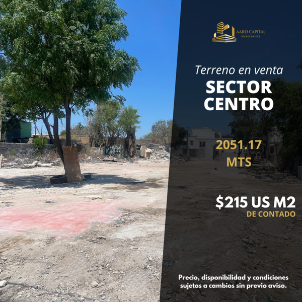 1169 Sector Centro