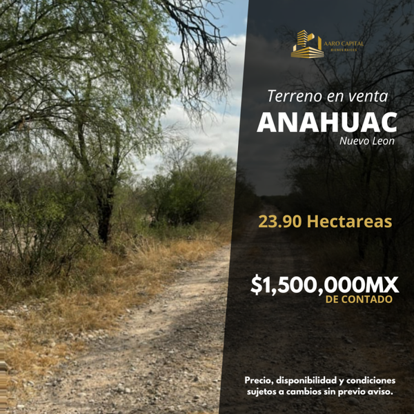 1191 Hectareas
