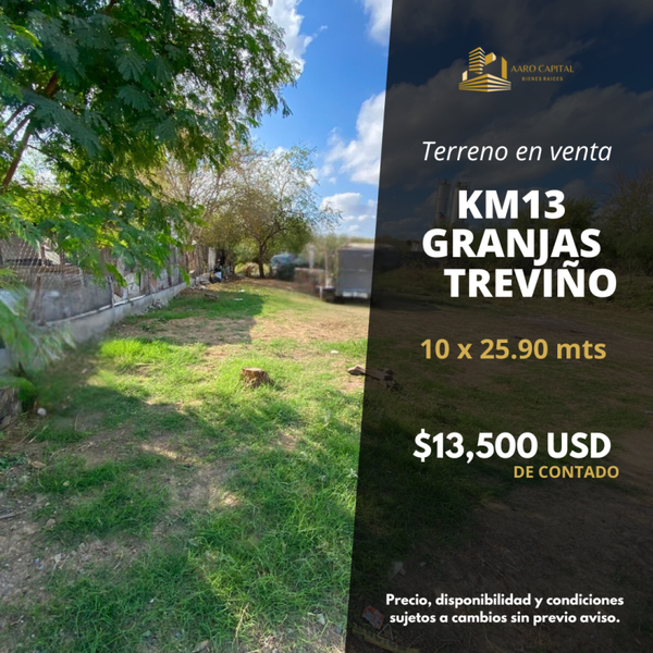 1206 Granjas Treviño