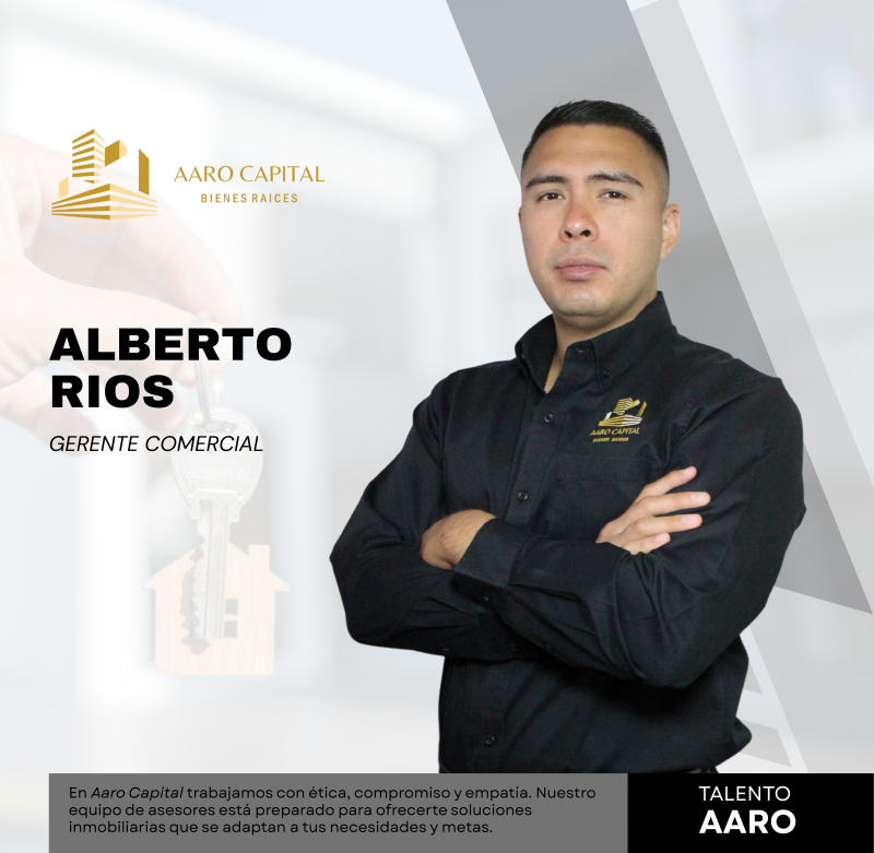 alberto-standard.png
