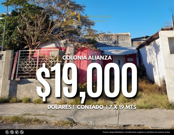 Terreno Alianza