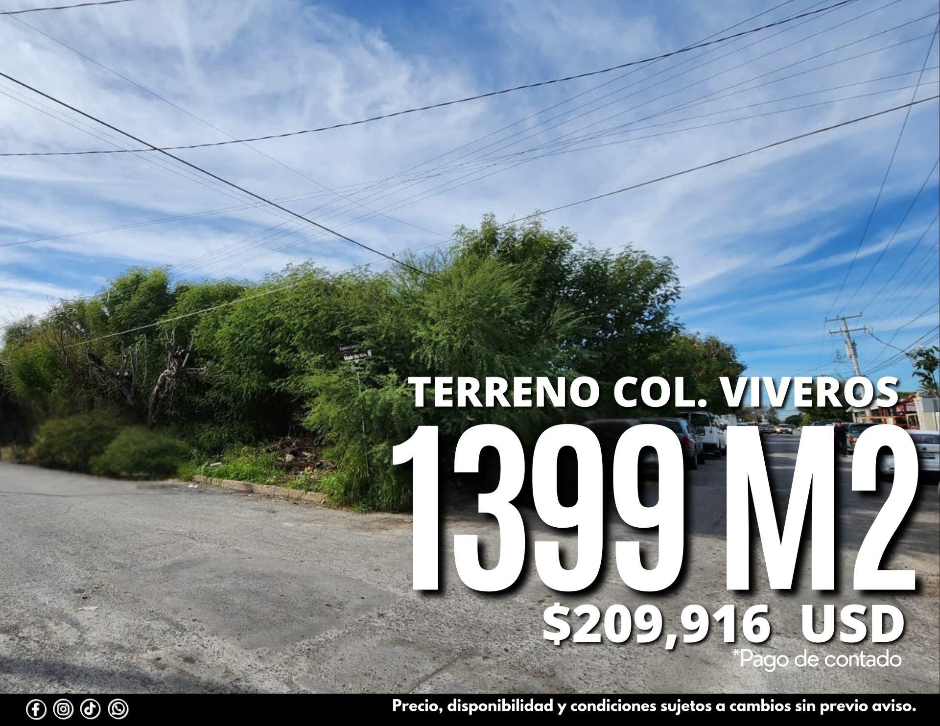1124 Viveros
