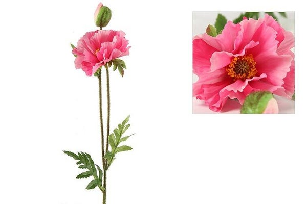 Papaver roze 64 cm
