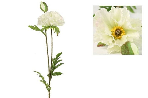 Papaver wit 64 cm
