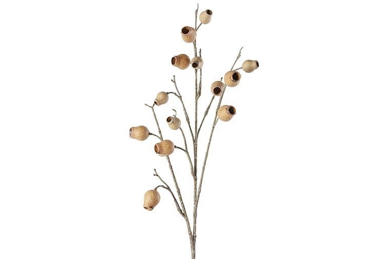 Eucalyptus bells licht bruin 86cm