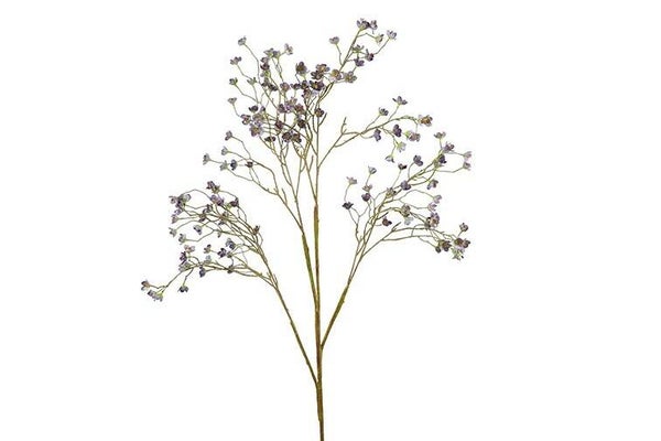 Prunus mume paars 140 cm