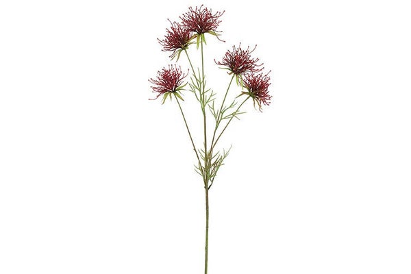 Kunsttak Hakea bordeaux 75cm