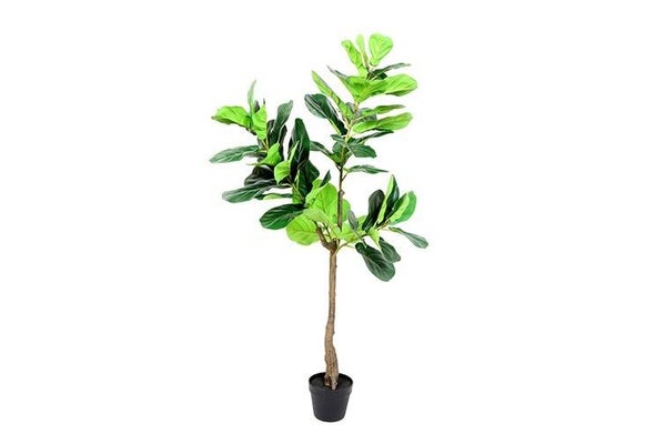 Kunstplant Ficus Sarian M 75 x 75 x H140 cm
