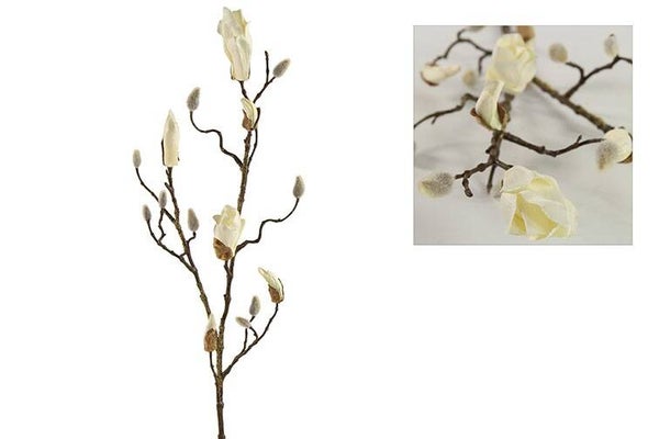 Magnoliatak wit 88 cm