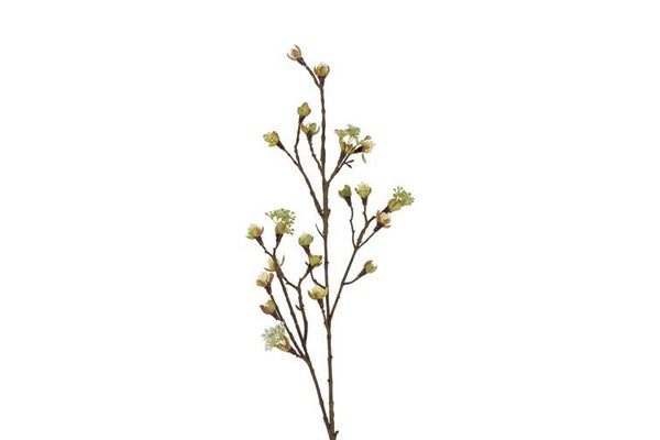 Prunustak wit met knop 87 cm