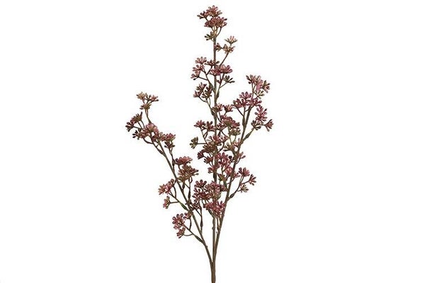 Prunus roze 65cm