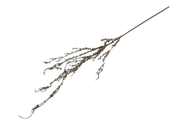 Salix tak 112 cm