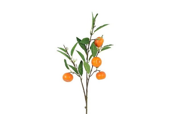 Mandarijnentak met bloesem 90cm