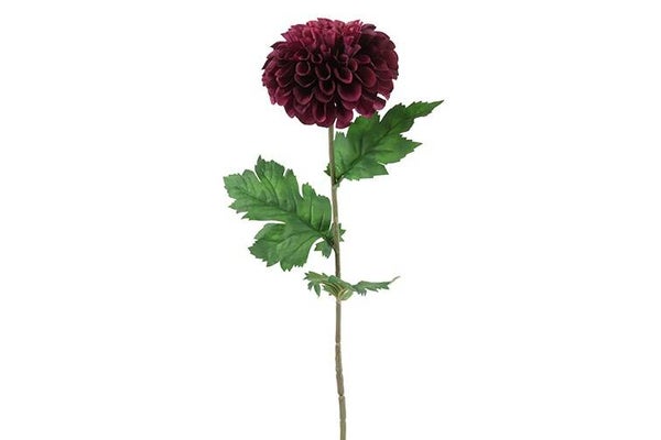 Dahlia donker paars 75 cm