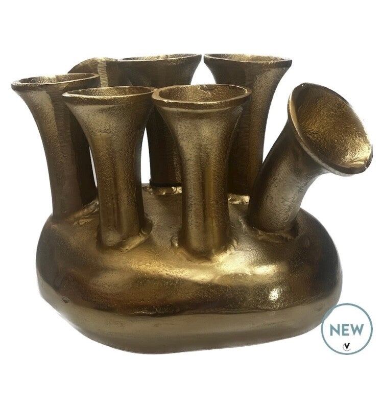 Tulpenvaas/toetervaas Assen goud L