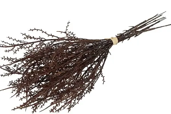 Half bosje gageltakken 47cm