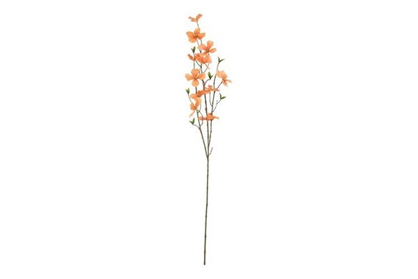Dogwood perzik 102cm
