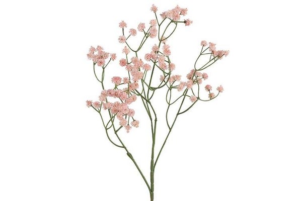 Gipskruid roze 62cm