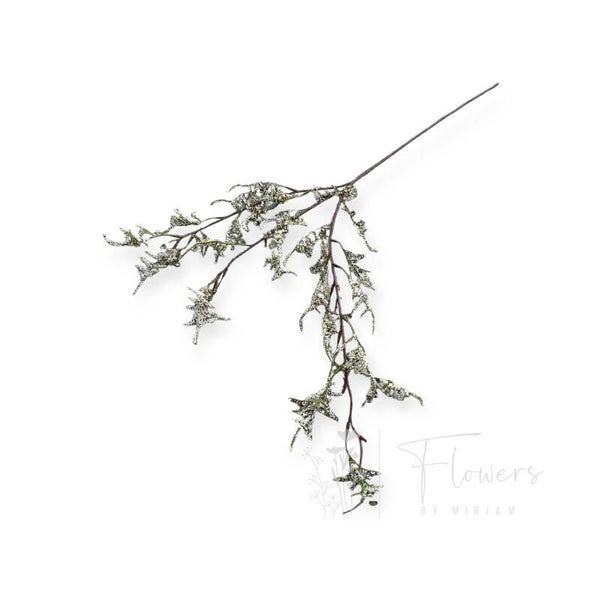 Limoneum creme 90 cm