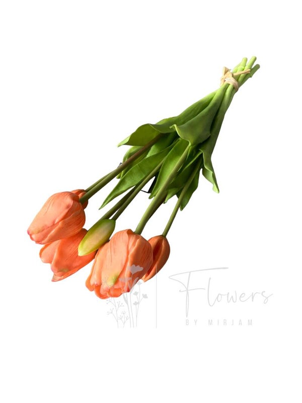 Lange tulpen perzik 47 cm