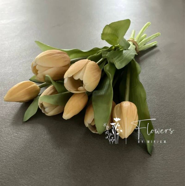 Tulpen champagne 30 cm