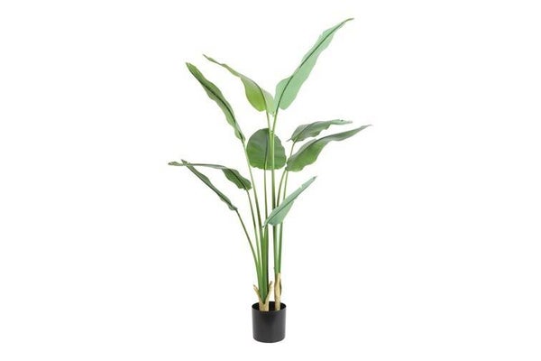 Kunstplant Strelitzia L 32 x 80 x H180 cm real touch