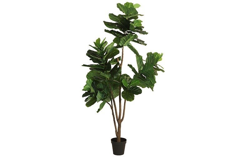 Kunstplant Ficus Lyrata tabaksplant XL 90 x 90 x H230 cm