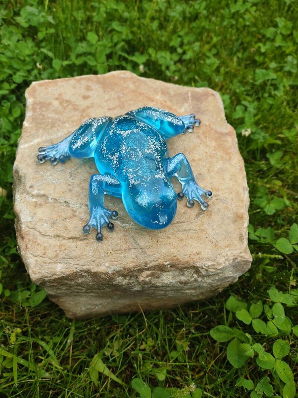 Grenouille bleu