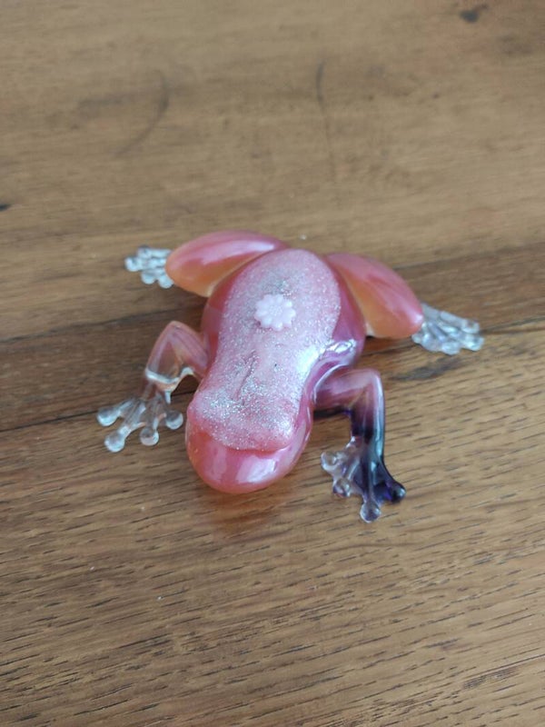 Grenouille bicolore (petit défaut)